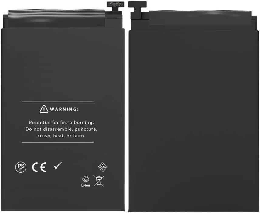 iPad Battery